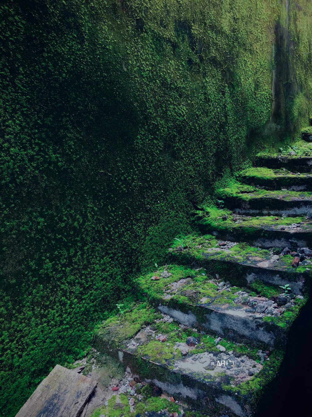 Escalier Vert
